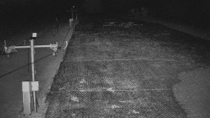 TJ Němčičky - Koberec - 25.3.2026 v 19:30 TJ Němčičky - Koberec - 25.3.2026 v 19:30