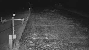 TJ Němčičky - Koberec - 8.4.2026 v 03:30