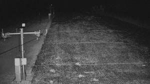 TJ Němčičky - Koberec - 8.4.2026 v 04:30