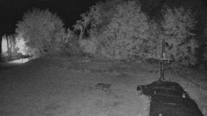 TJ Němčičky - Koberec - 24.8.2026 v 00:30