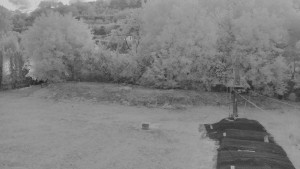 TJ Němčičky - Koberec - 24.8.2026 v 05:30