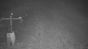 TJ Němčičky - Svah - 1.12.2025 v 00:55