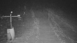 TJ Němčičky - Svah - 1.12.2025 v 05:55