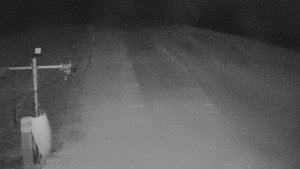 TJ Němčičky - Svah - 31.12.2025 v 00:40