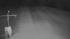 TJ Němčičky - Svah - 31.12.2025 v 00:55