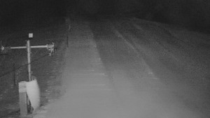 TJ Němčičky - Svah - 31.12.2025 v 01:15