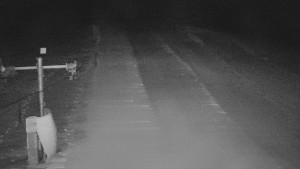 TJ Němčičky - Svah - 31.12.2025 v 03:55