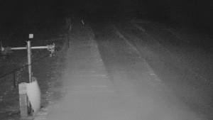 TJ Němčičky - Svah - 31.12.2025 v 04:20