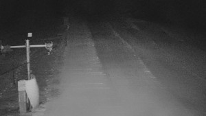 TJ Němčičky - Svah - 31.12.2025 v 04:45