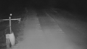 TJ Němčičky - Svah - 31.12.2025 v 05:10