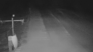 TJ Němčičky - Svah - 31.12.2025 v 05:50