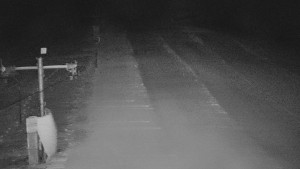 TJ Němčičky - Svah - 31.12.2025 v 06:15