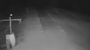 TJ Němčičky - Svah - 31.12.2025 v 06:25