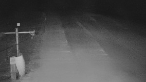 TJ Němčičky - Svah - 31.12.2025 v 06:30