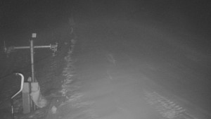 TJ Němčičky - Svah - 26.1.2026 v 04:55