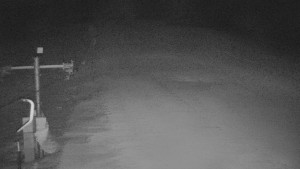 TJ Němčičky - Svah - 26.1.2026 v 17:55