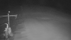 TJ Němčičky - Svah - 26.1.2026 v 18:55