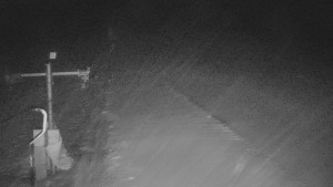 TJ Němčičky - Svah - 29.1.2026 v 00:20