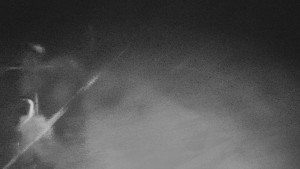 TJ Němčičky - Svah - 29.1.2026 v 00:45