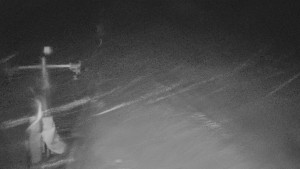 TJ Němčičky - Svah - 29.1.2026 v 00:55