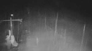 TJ Němčičky - Svah - 29.1.2026 v 01:00