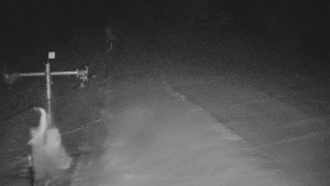 TJ Němčičky - Svah - 29.1.2026 v 02:05