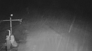 TJ Němčičky - Svah - 29.1.2026 v 02:45