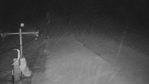 TJ Němčičky - Svah - 29.1.2026 v 03:15