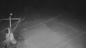 TJ Němčičky - Svah - 29.1.2026 v 03:35