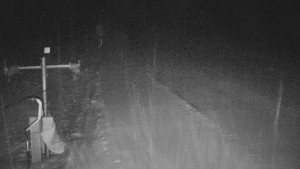 TJ Němčičky - Svah - 29.1.2026 v 03:45