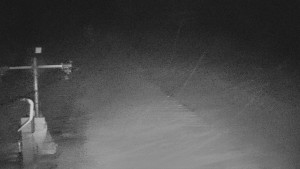 TJ Němčičky - Svah - 29.1.2026 v 04:00