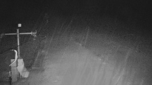 TJ Němčičky - Svah - 29.1.2026 v 04:15