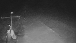 TJ Němčičky - Svah - 29.1.2026 v 04:25