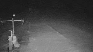 TJ Němčičky - Svah - 29.1.2026 v 04:45