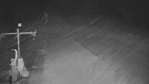 TJ Němčičky - Svah - 29.1.2026 v 04:55