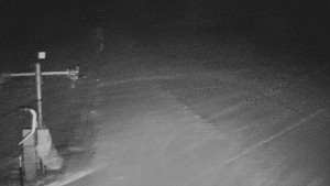 TJ Němčičky - Svah - 29.1.2026 v 05:00