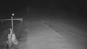 TJ Němčičky - Svah - 29.1.2026 v 05:20