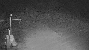 TJ Němčičky - Svah - 29.1.2026 v 05:30