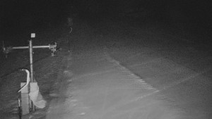 TJ Němčičky - Svah - 29.1.2026 v 05:50