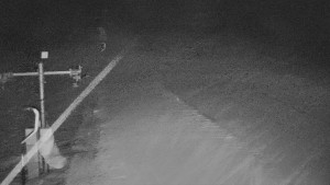 TJ Němčičky - Svah - 29.1.2026 v 06:05