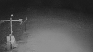 TJ Němčičky - Svah - 30.1.2026 v 04:55 TJ Němčičky - Svah - 30.1.2026 v 04:55