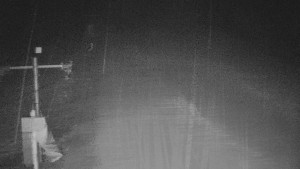 TJ Němčičky - Svah - 12.2.2026 v 00:40