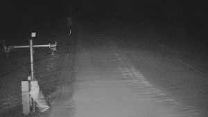 TJ Němčičky - Svah - 12.2.2026 v 02:20