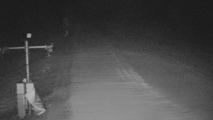 TJ Němčičky - Svah - 12.2.2026 v 02:30