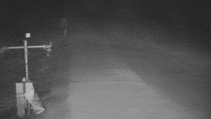 TJ Němčičky - Svah - 12.2.2026 v 03:00