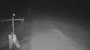 TJ Němčičky - Svah - 12.2.2026 v 03:15