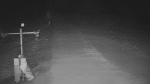 TJ Němčičky - Svah - 12.2.2026 v 05:35