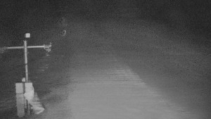 TJ Němčičky - Svah - 12.2.2026 v 05:45