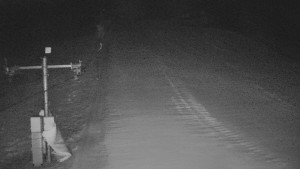 TJ Němčičky - Svah - 12.2.2026 v 06:05