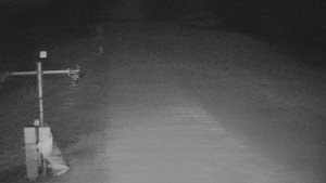 TJ Němčičky - Svah - 12.2.2026 v 06:10